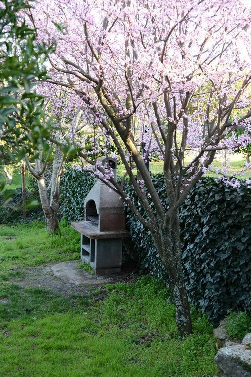 Casa Rural El Pilar Асебо Екстериор снимка