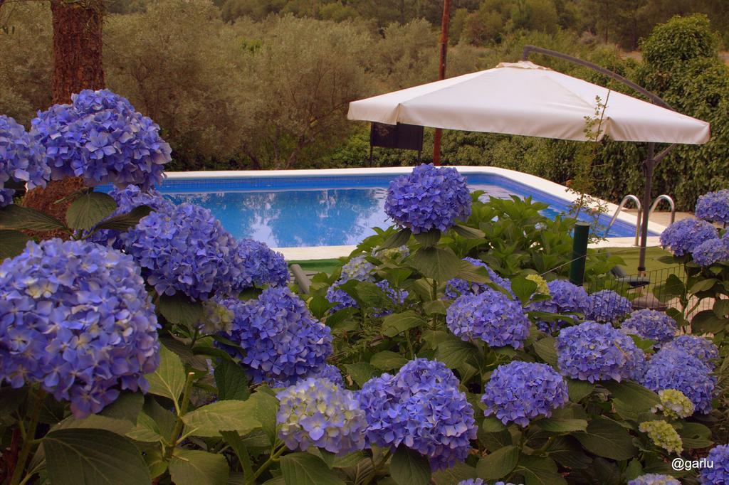 Casa Rural El Pilar Асебо Екстериор снимка